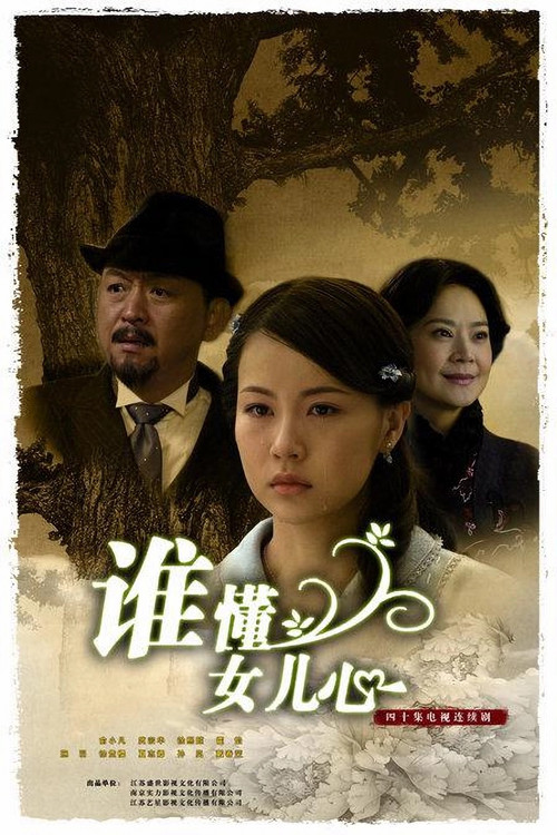 谁懂女儿心 poster