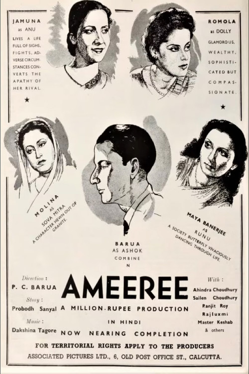 Ameeree poster