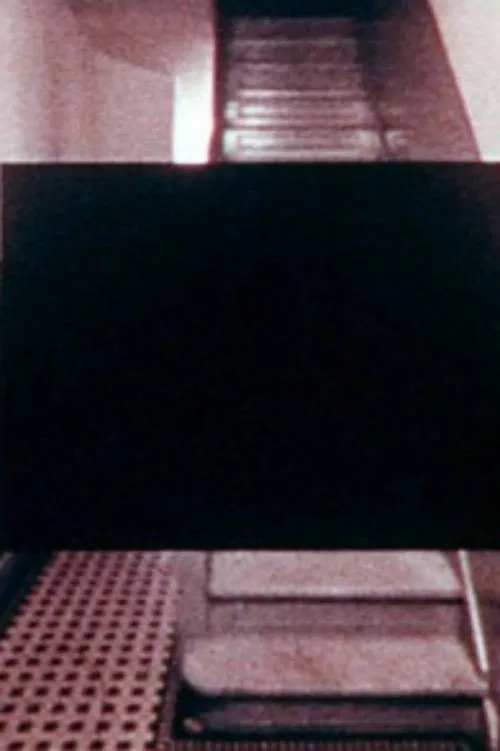 Picking Up the Pieces poster