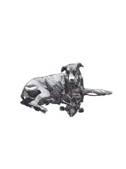 my first skate video poster