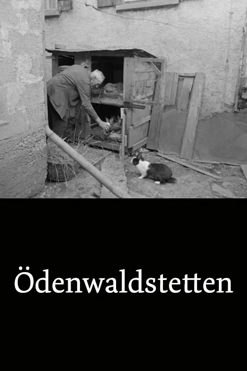 Ödenwaldstetten poster