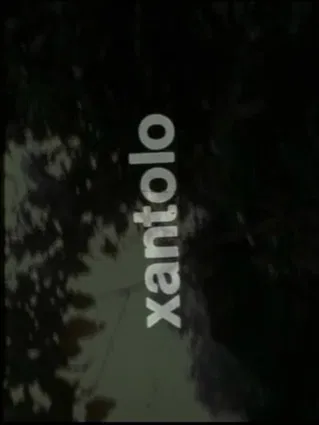 Xantolo, fiesta de la muerte poster