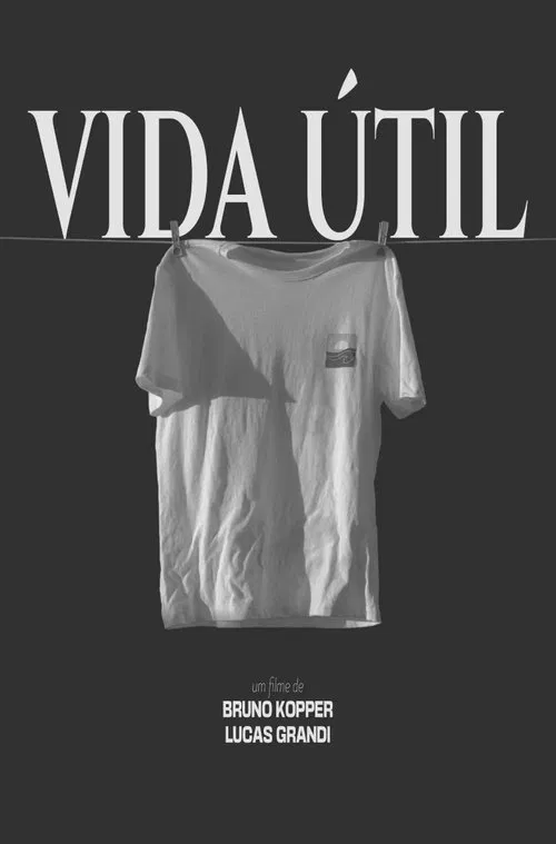 Vida Útil poster