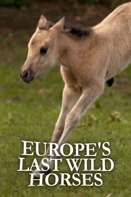 Europe's Last Wild Horses poster