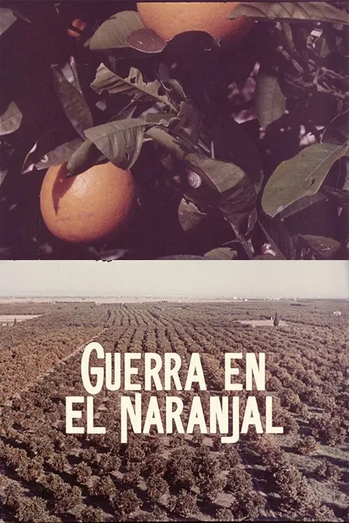 Guerra en el naranjal poster