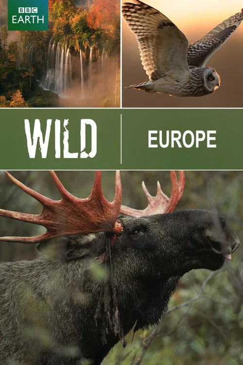 Wild Europe poster