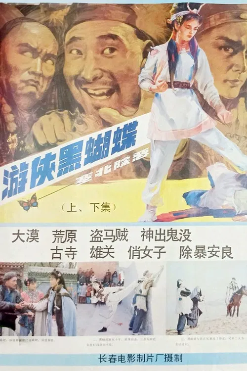 You xia hei hu die poster