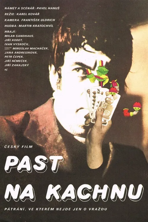 Past na kachnu poster