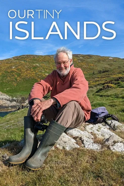 Our Tiny Islands poster