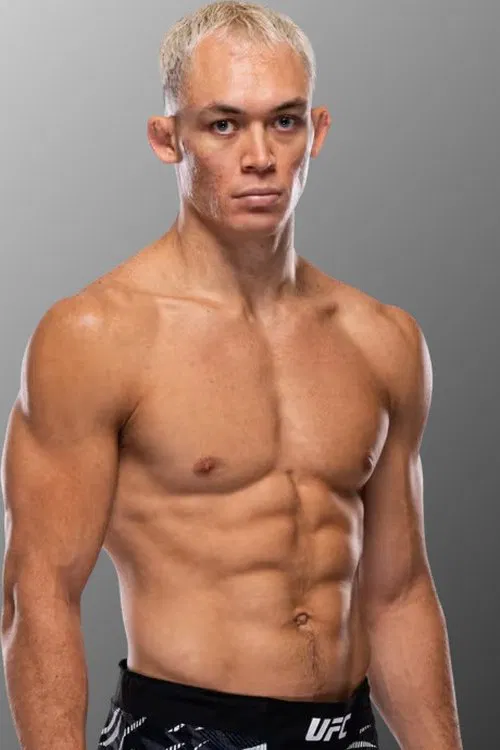 Navajo Stirling profile