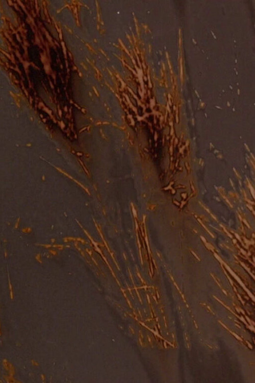 Terre rouge terre noire poster