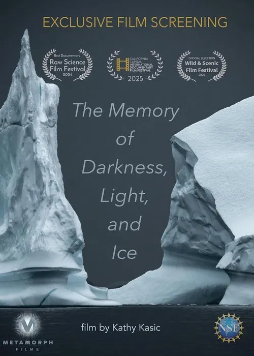 Memory of Darkness Light and Ice poster