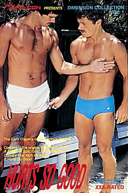 Hurts So Good poster