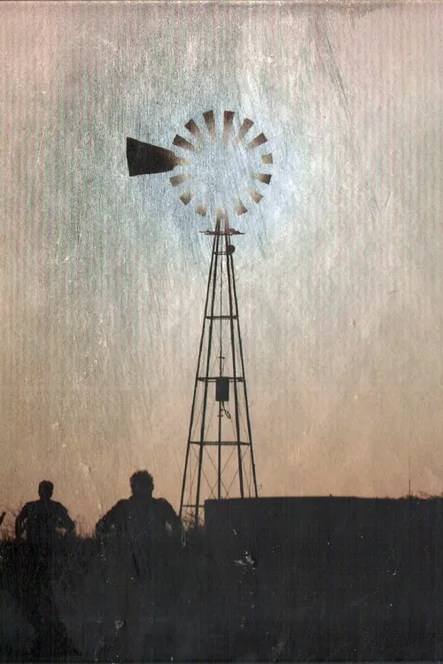 Divididos - Amapola del '66 poster