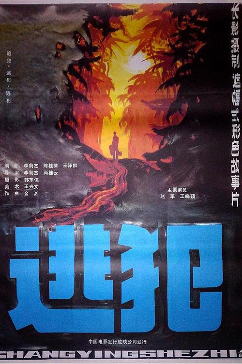 逃犯 poster