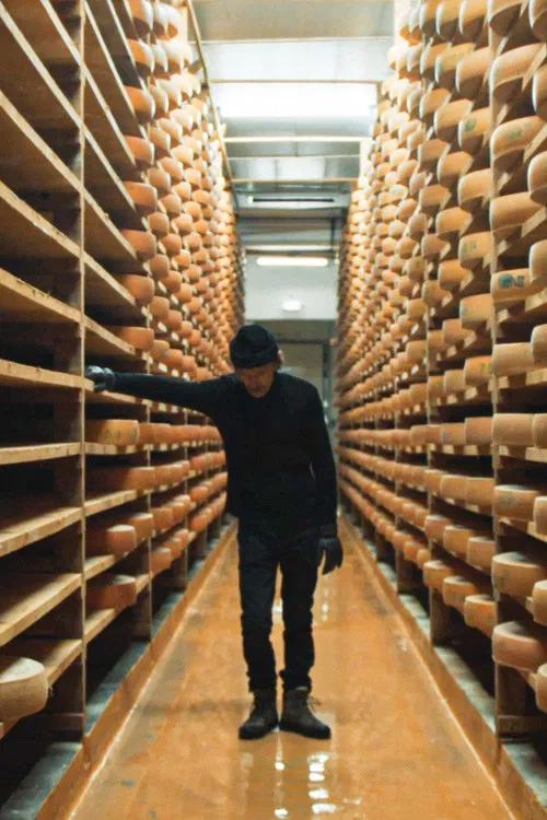 Les forcenés poster