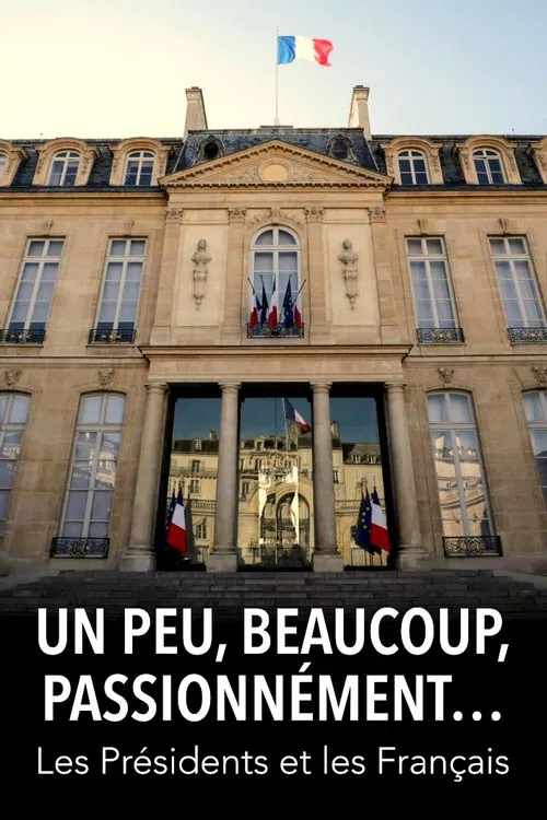 Un peu, beaucoup, passionnément... Les Présidents et les Français poster
