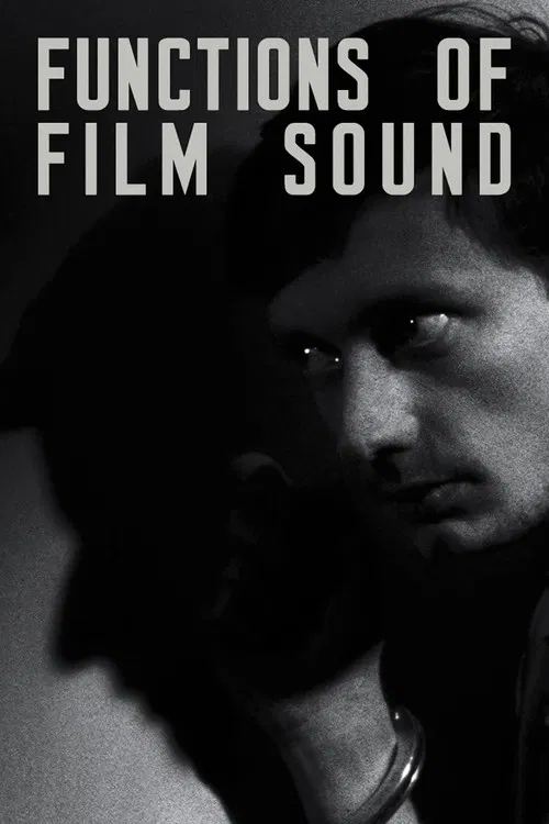 Functions of Film Sound poster