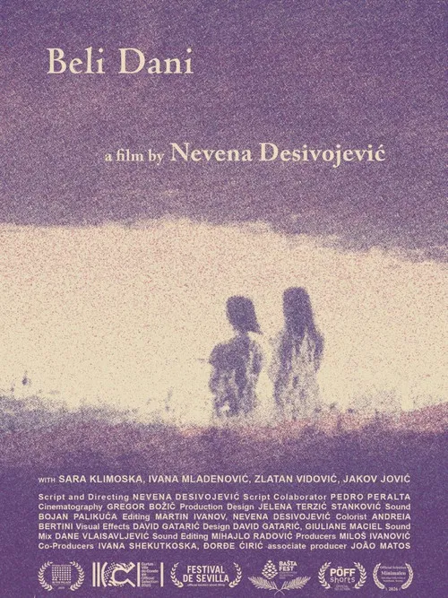 Bright Summer Days poster