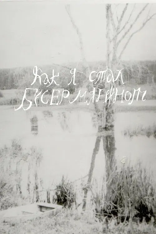 How I Became a Besermyan poster