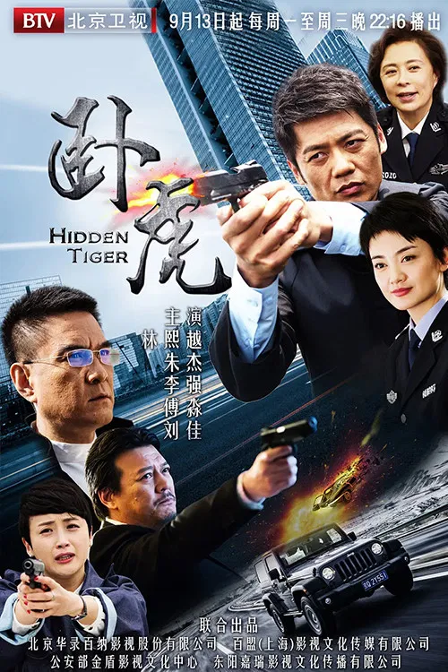 Hidden Tiger poster