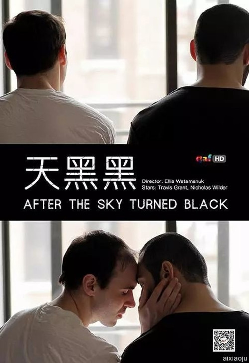 After the Sky Turned Black poster