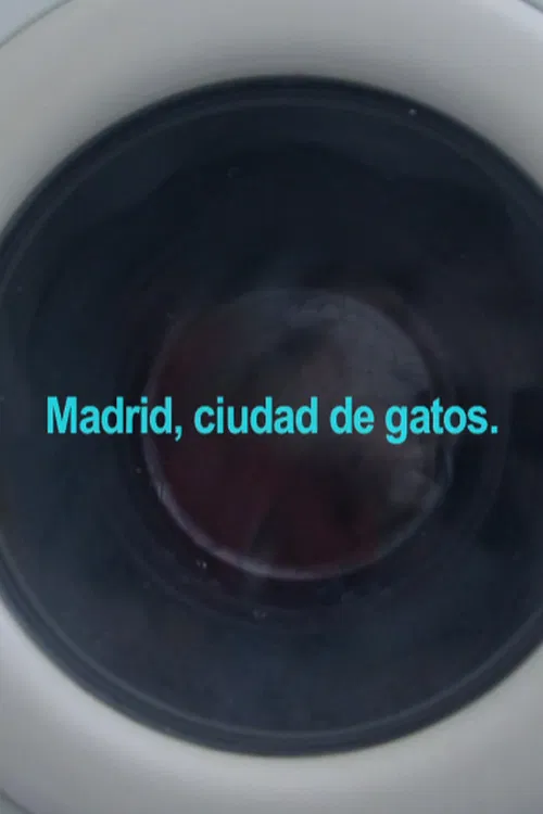 Madrid, City of Cats poster