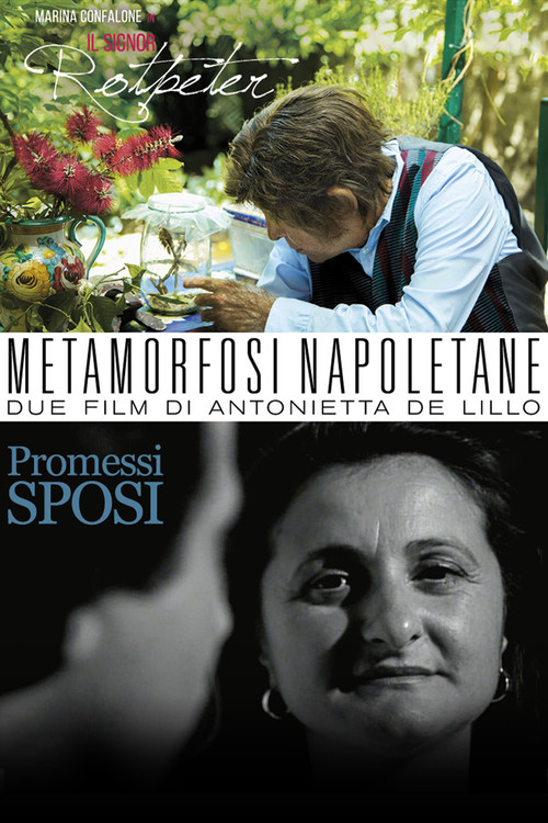 Metamorfosi Napoletane poster