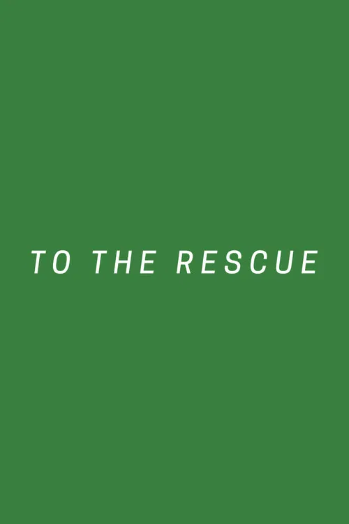 To The Rescue poster