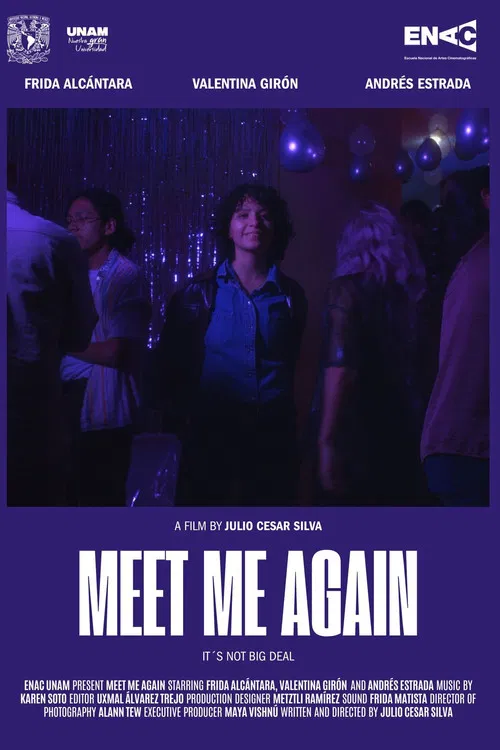 Meet Me Again poster