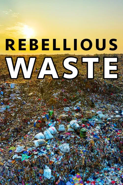 Rebellious Waste poster