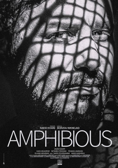 Amphibious poster