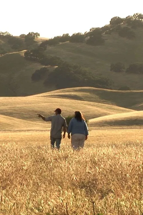 The Last Crop poster