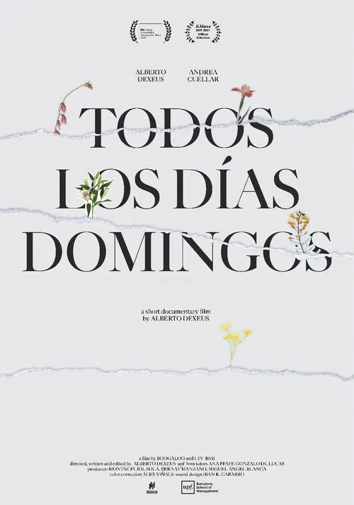 Everyday Is Like Sunday poster