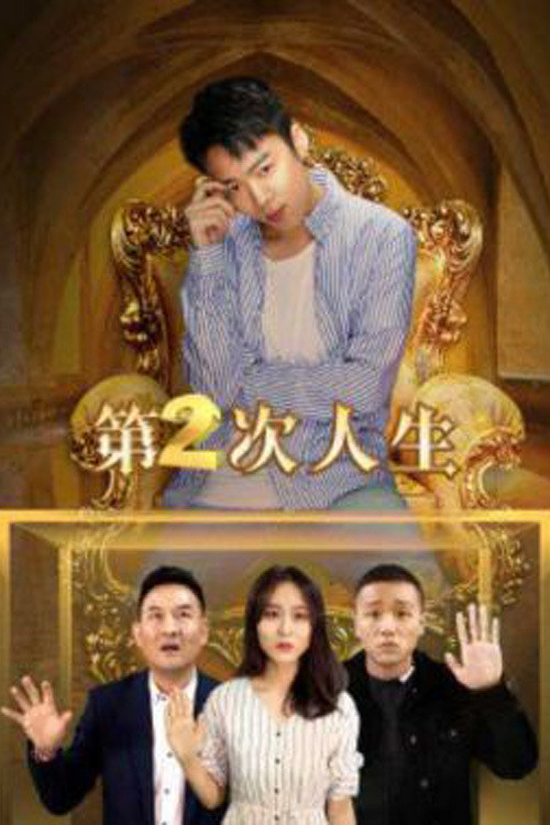 A Second Life poster