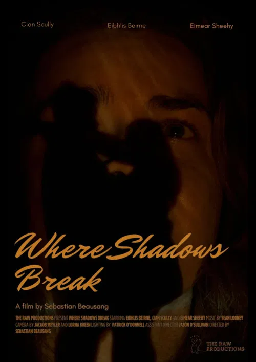 Where Shadows Break poster