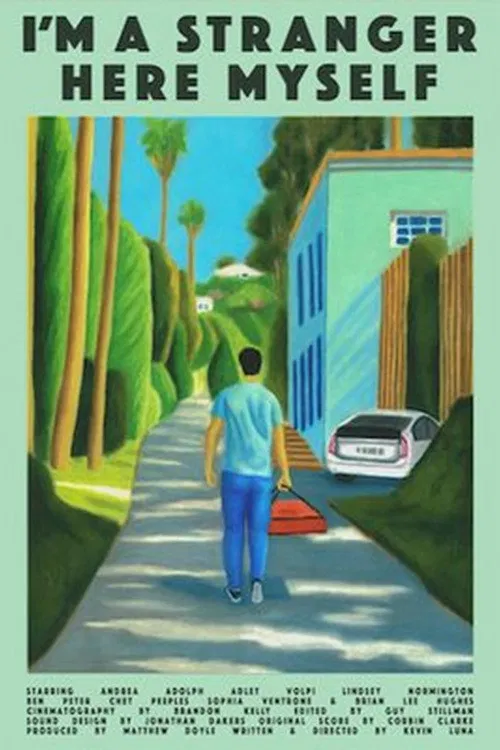 I'm a Stranger Here Myself poster