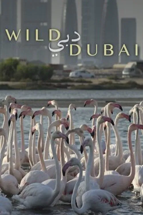 Wild Dubai poster