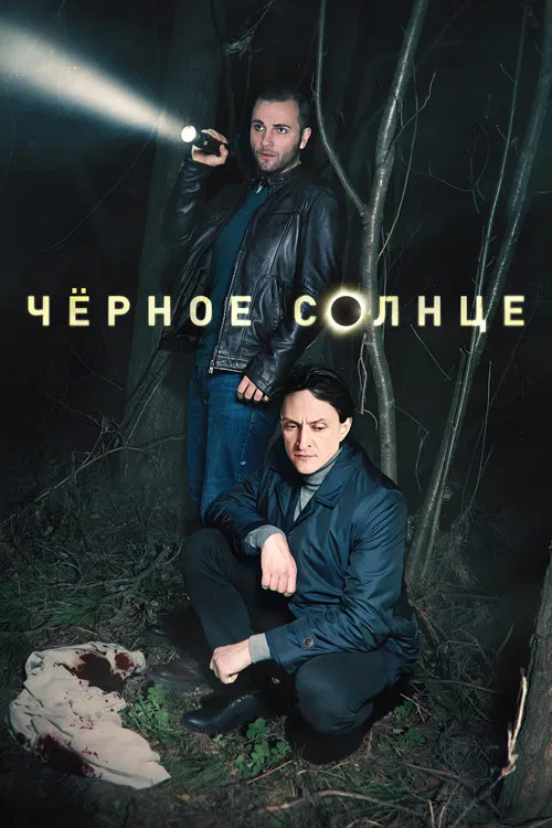 Чёрное солнце poster