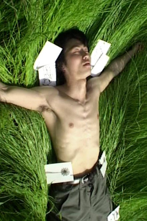 Pictorial Letters poster