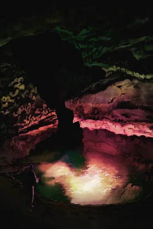 Flowers - Condore poster