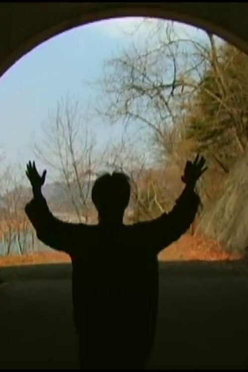 Mystic Tube #1: Swinging, Escaping poster