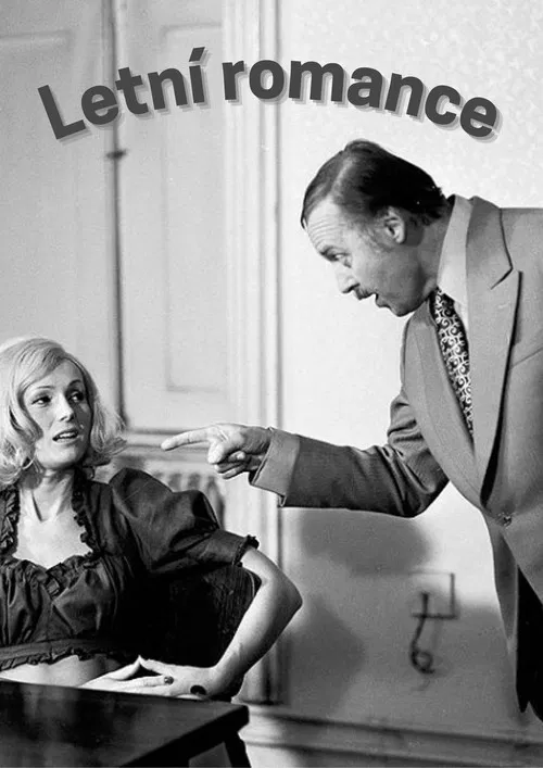 Letní romance poster