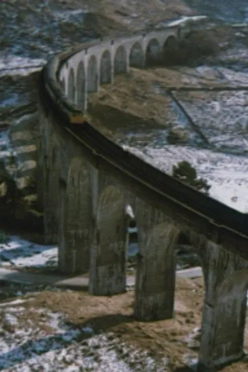 A Line for All Seasons poster