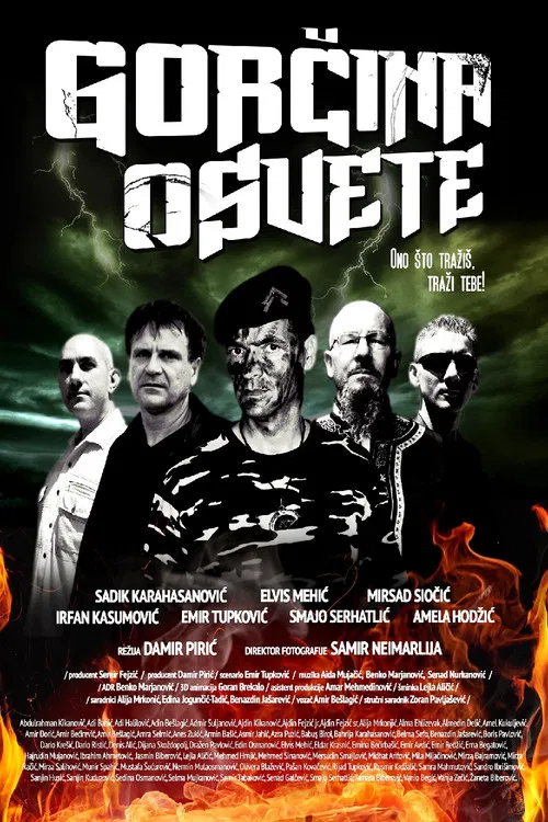 The Bitterness of Revenge poster