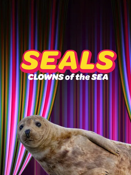 Seals - Clowns of the Sea poster