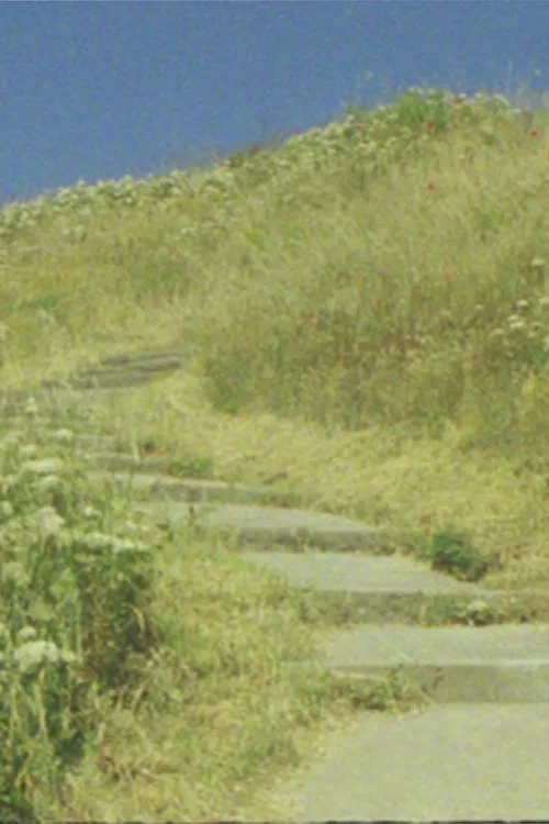 The seagull... and the glory of God poster