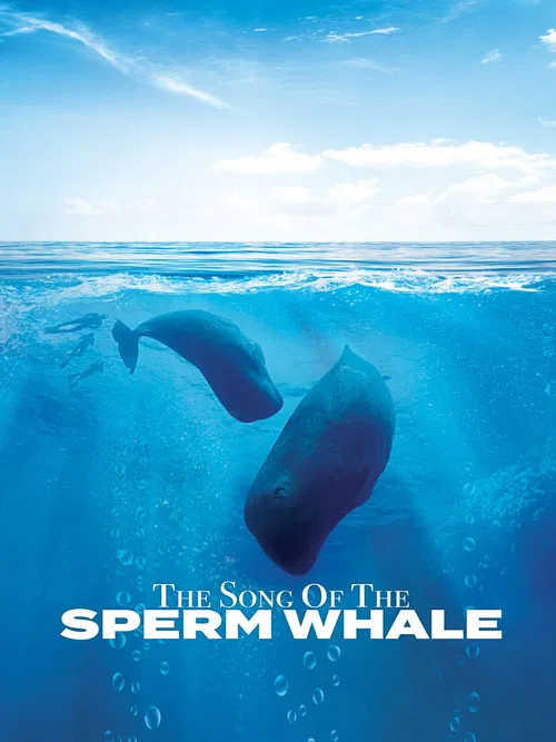 Song of the Sperm Whale poster