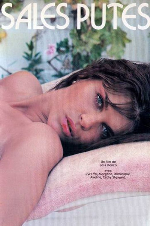 Les minettes brûlantes poster