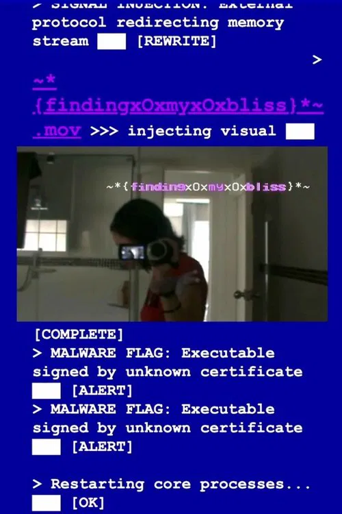 ~*{findingxOxmyxOxbliss}*~ poster